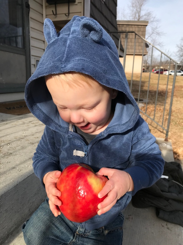 2018-1-19 Apples for Clark (1)