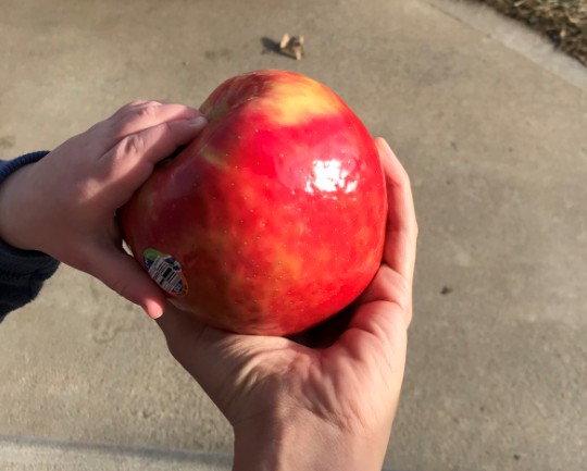 2018-1-19 Apples for Clark (2.5)